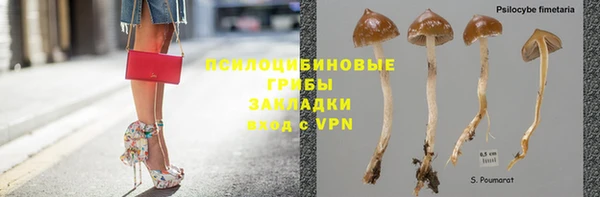соль курить ск Каменка