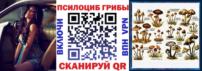 Галлюциногенные грибы MAGIC MUSHROOMS  Купить закладки  Заволжье 